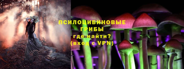 СК Алексеевка