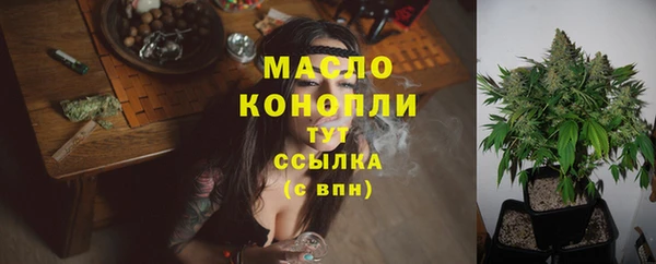 соль ск Алзамай
