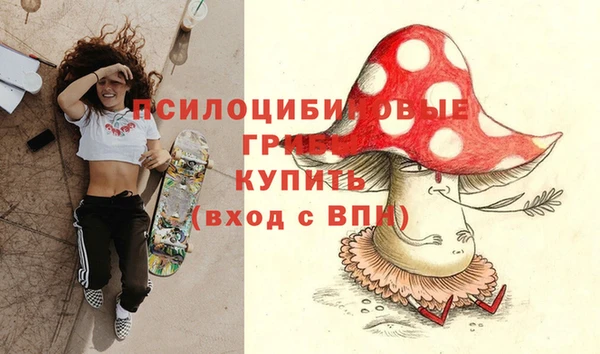 ГАЛЛЮЦИНОГЕННЫЕ ГРИБЫ Алексин