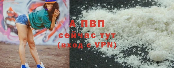 PSILOCYBIN Строитель