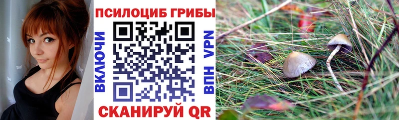Псилоцибиновые грибы Psilocybine cubensis  Камешково 
