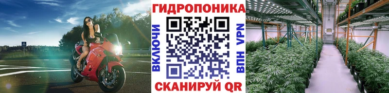 Конопля сатива  kraken зеркало  Камешково  где купить наркотик 